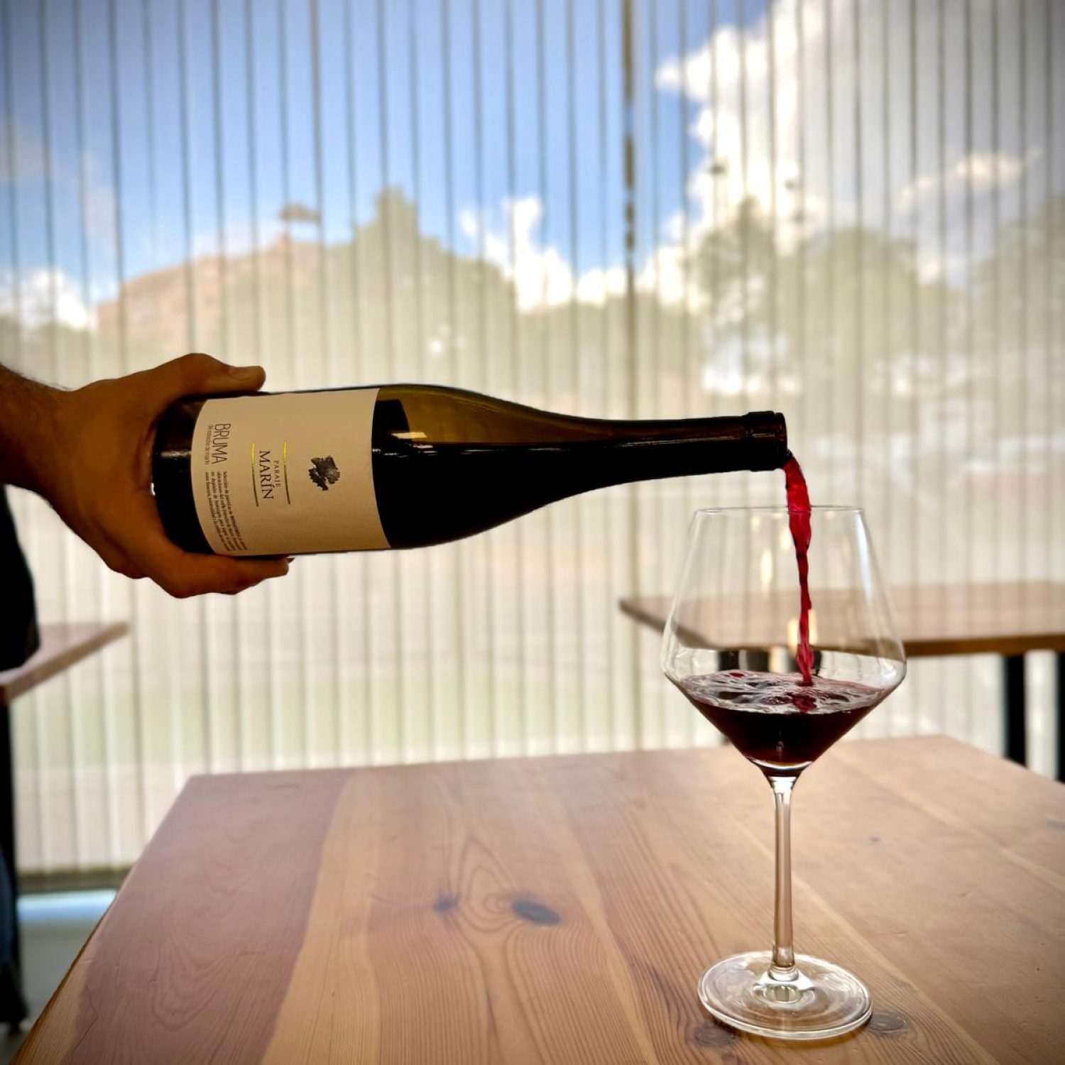 WhatsApp Image 2025-10-03 at 18.41.44 (1)